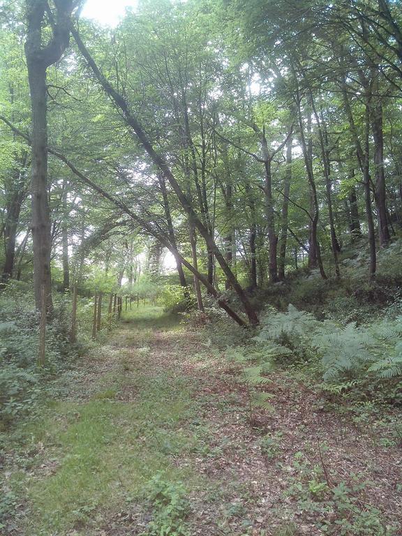 Les Gites De Castera Aire-sur-lʼAdour Kültér fotó