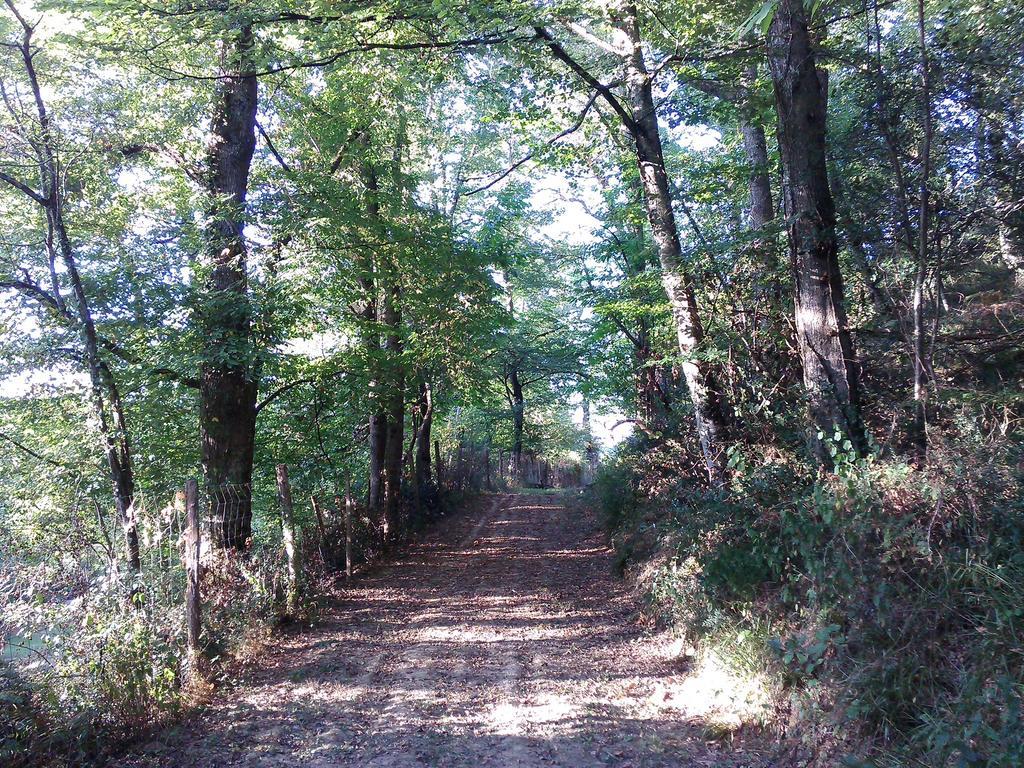 Les Gites De Castera Aire-sur-lʼAdour Kültér fotó